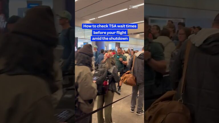How to check #TSA wait times before your #flight amid the shutdown